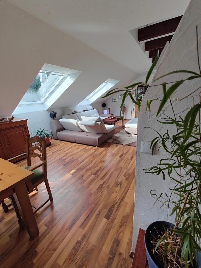 Komfort Ferienwohnung Biene Саарбрюкен Екстериор снимка